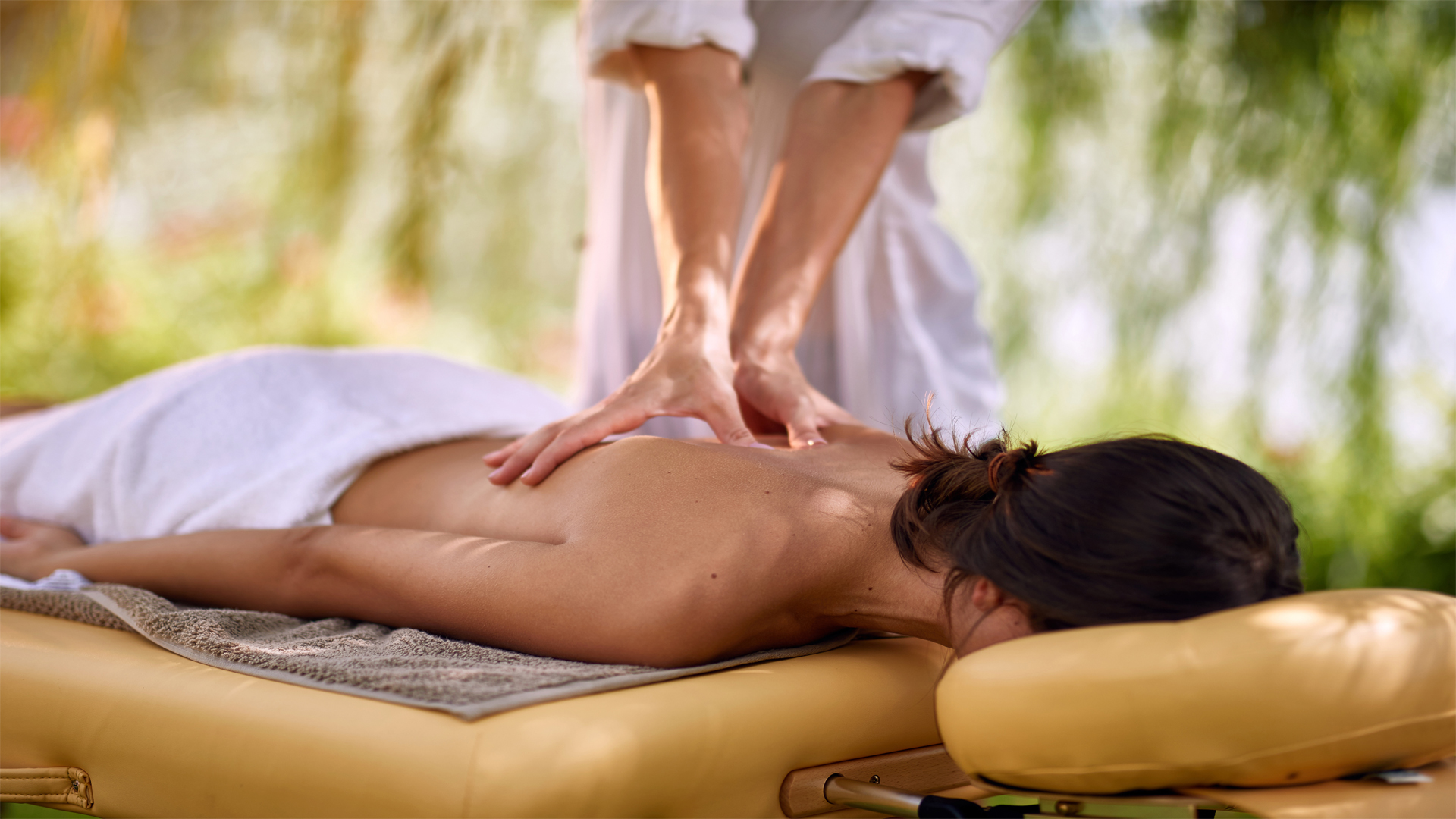 shutterstock_1179517537